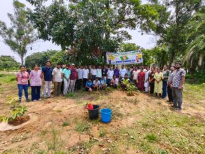 ବିଶ୍ୱ ପରିବେଶ ଦିବସ ପାଳନ ଅବସରରେ ଫକୀରମୋହନ ବିଶ୍ବବିଦ୍ୟାଳୟର ବିଶାଳ ଚାରାରୋପଣ କାର୍ଯ୍ୟକ୍ରମ।